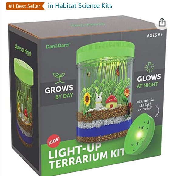 Light-Up Terrarium Kit - Picture 3 of 9